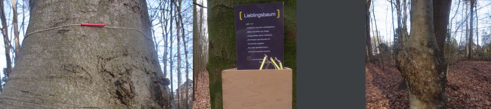 lbaum 3_bearbeitet-2