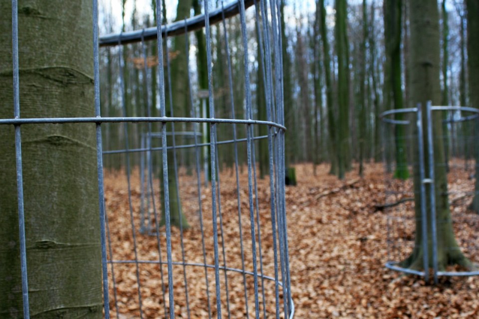 anamnseis1.feine menschen