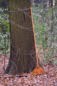 kurlaub.besen Foto Matthias Walenda